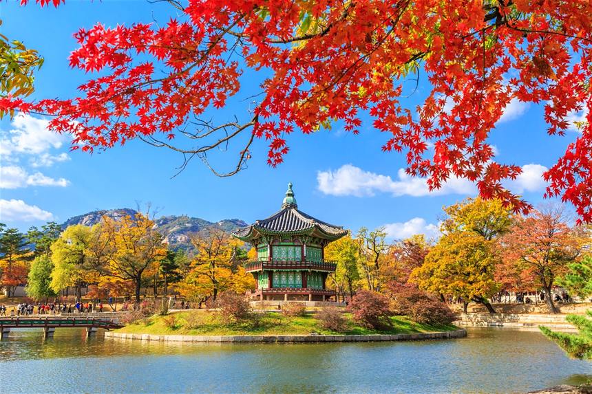 Round-trip flights from Frankfurt to Seoul, South Korea on sale from 372 €