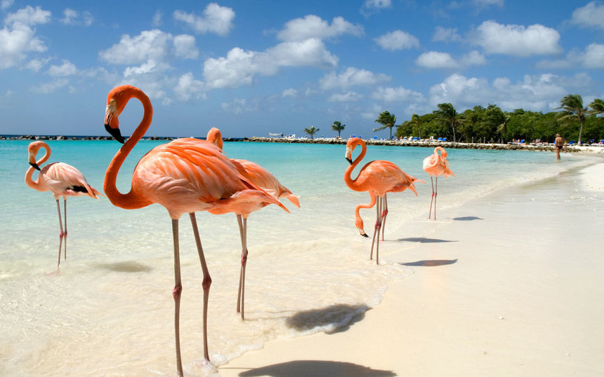 Direct round-trip flights from London to Aruba for just 249 £