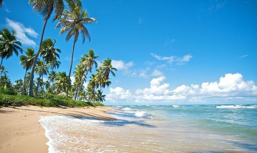Direct return flights from Brussels to Punta Cana for just 230 € !