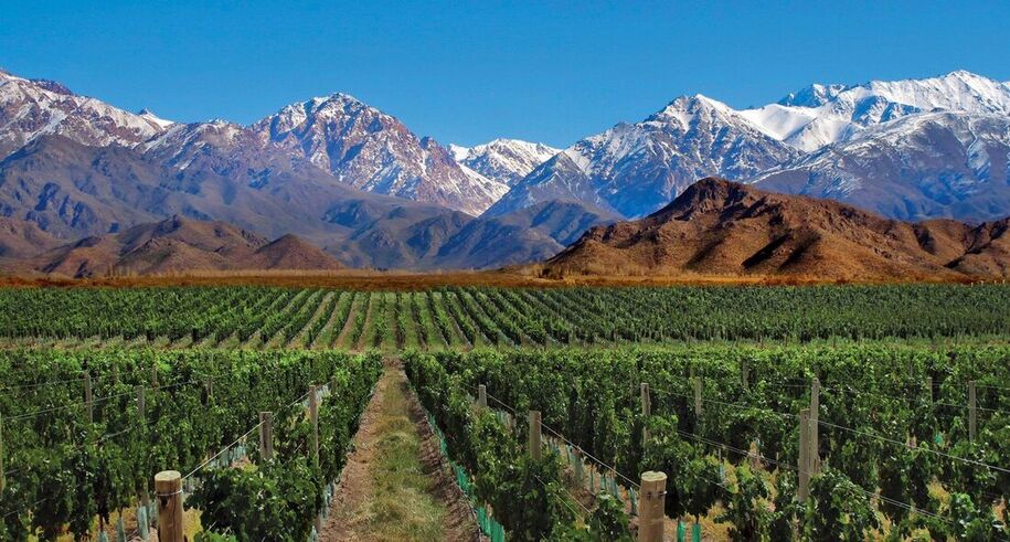 What to do in Mendoza, ARGENTINA