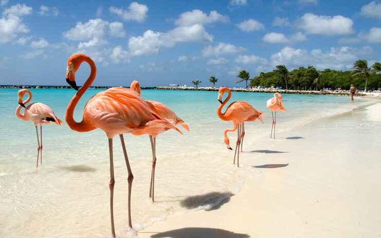 Direct round-trip flights from Stockholm to ARUBA for 359 € 
