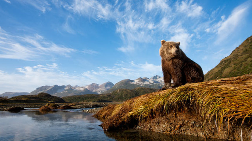 Experience the wilderness of Alaska, return flights from Copenhagen to Fairbanks for just 507 € 