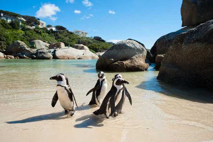 SUMMER ! Round-trip flights from Hamburg to Cape Town, SOUTH AFRICA on sale from 279 € 