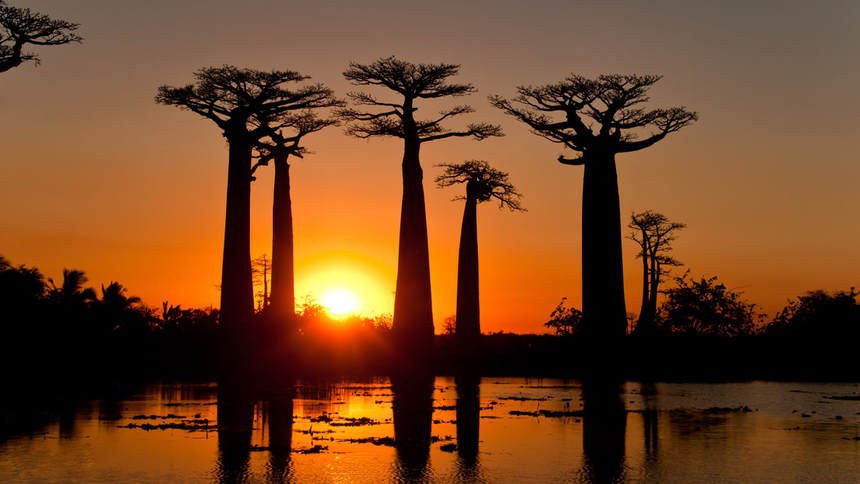 Round-trip flights from Milan to Madagascar for just 417 € 