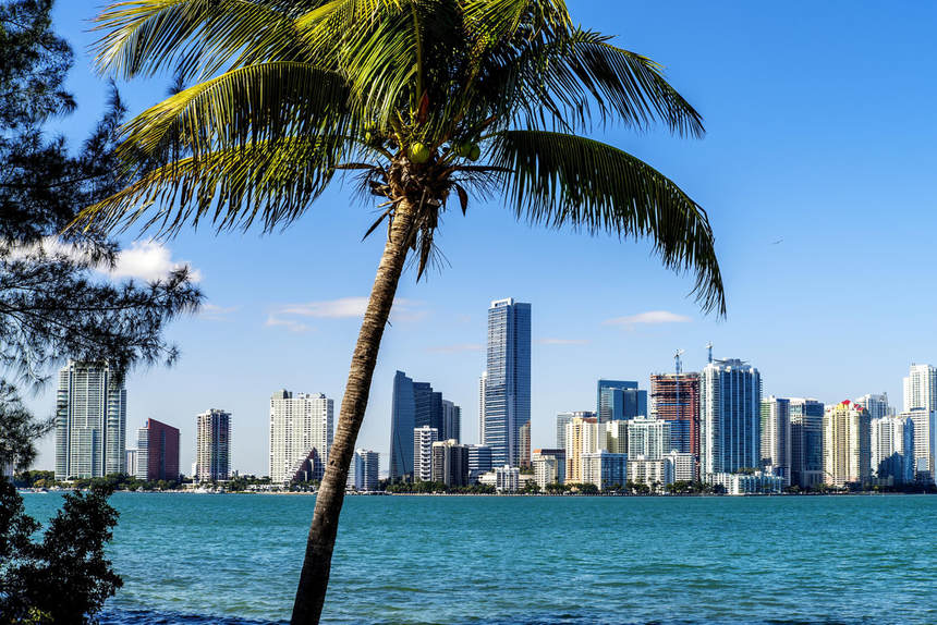 Direct return flights from Brussels to Miami for only 298 €