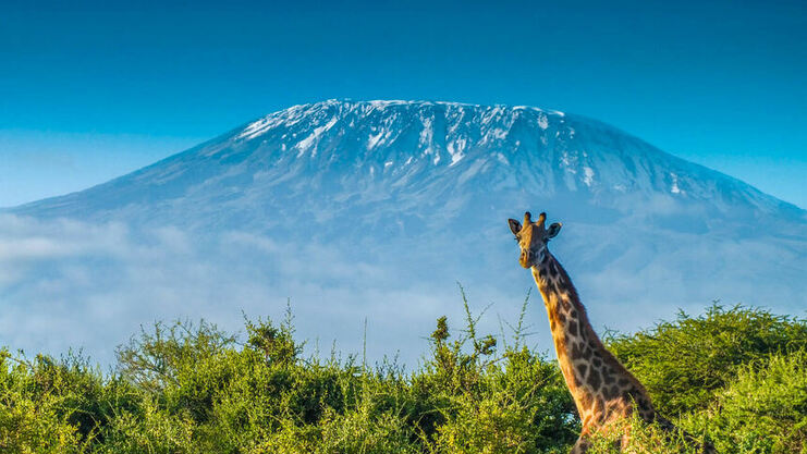 Round-trip flights from Vilnius to Kilimanjaro, TANZANIA on sale from 286 €