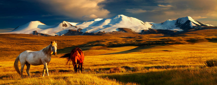 Return flights from Zurich to Mongolia for just 393 €