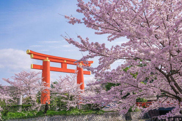 Round-trip flights from Geneva to Tokyo, JAPAN for 390 € 