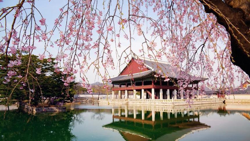 Return fligths from Frankfurt to Seoul for just 354 €