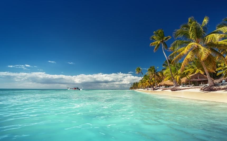 LAST MINUTE ! Direct round-trip flight from Zurich to Punta Cana, Dominican Republic for just 275 € 