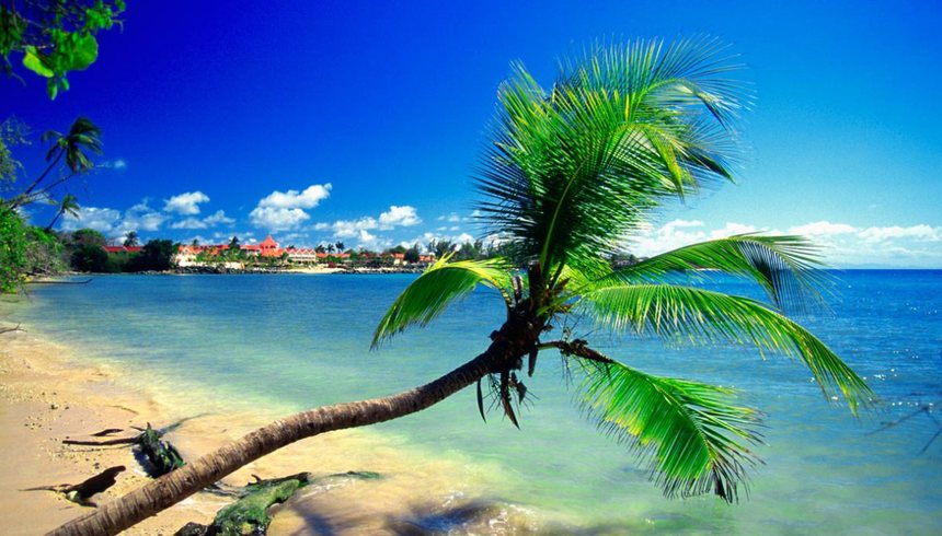 Direct round-trip flights from Manchester to Tobago for 390 £ 